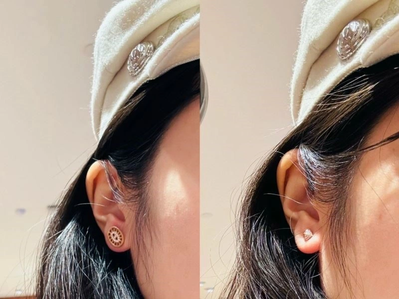 Hermes Earrings WrinkleFree 246906
