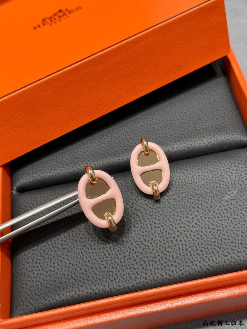 Hermes Earrings StreetReady 246852
