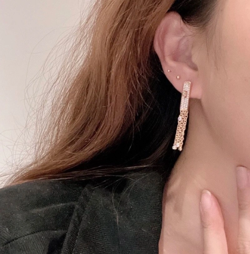 GoAnywhere Hermes Earrings 246841