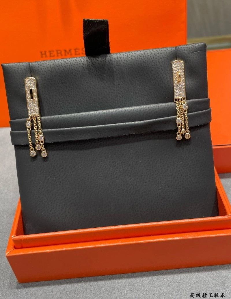 GoAnywhere Hermes Earrings 246841