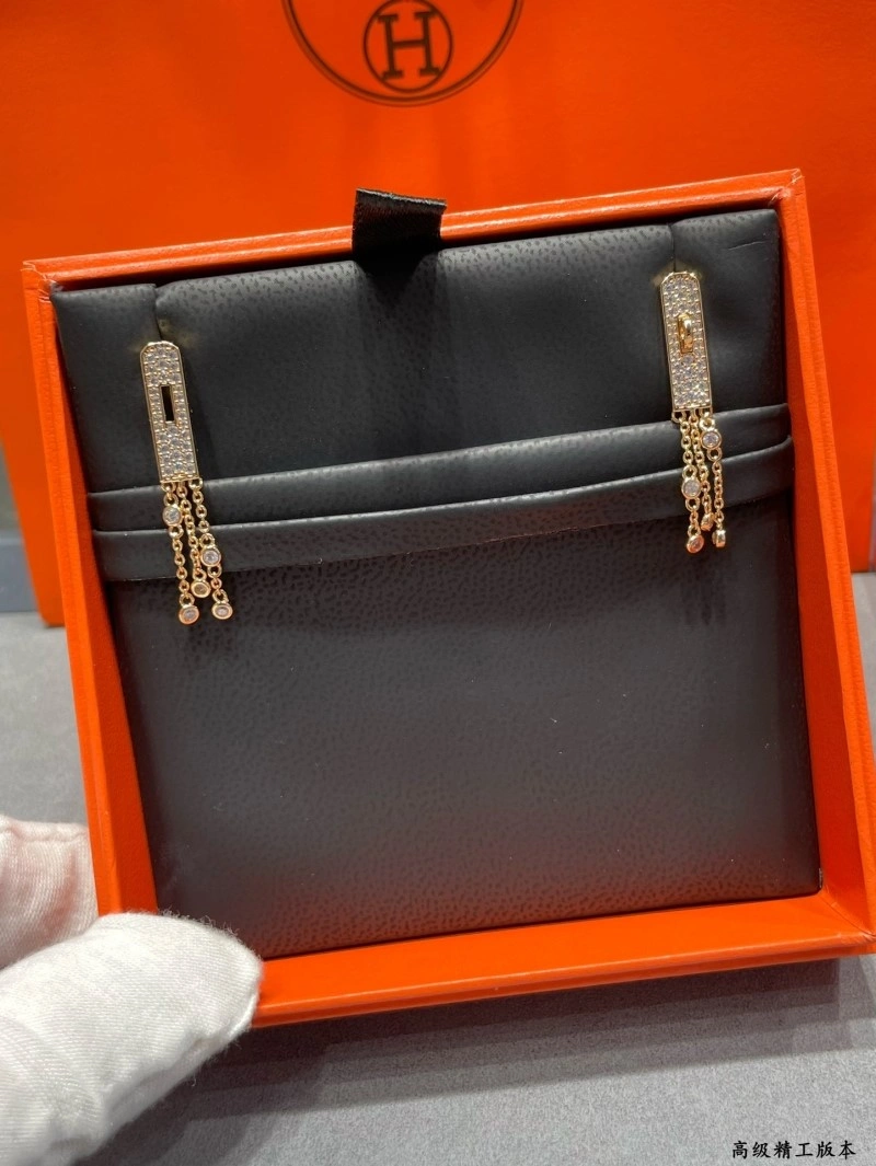 GoAnywhere Hermes Earrings 246841
