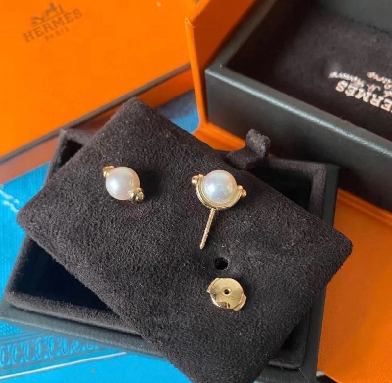 Hermes Earrings Stylish 246814