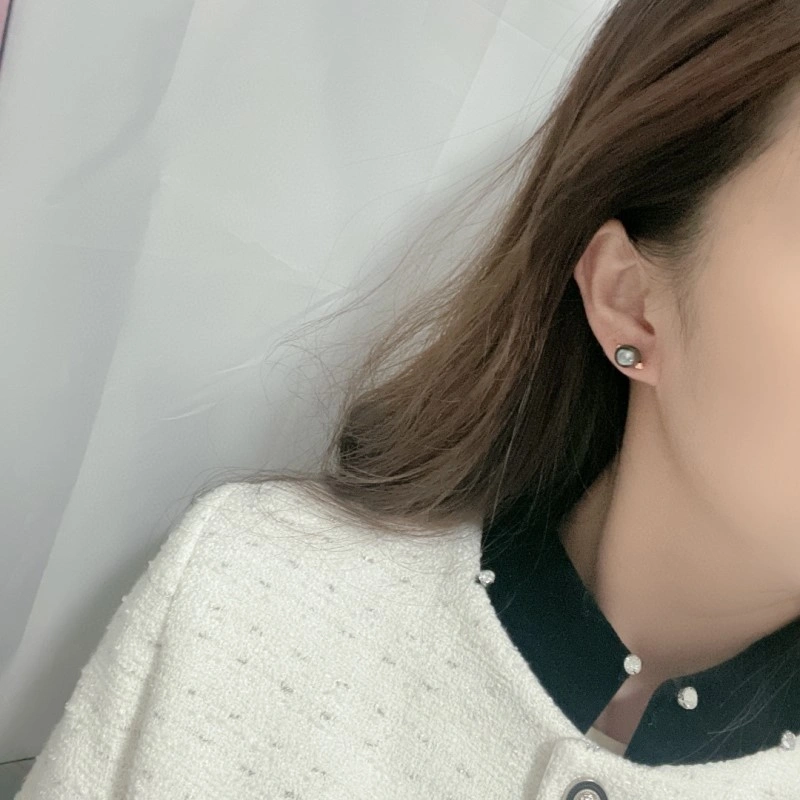 Hermes Earrings Stylish 246814
