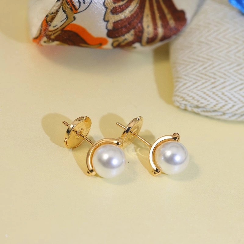 Hermes Earrings Stylish 246814
