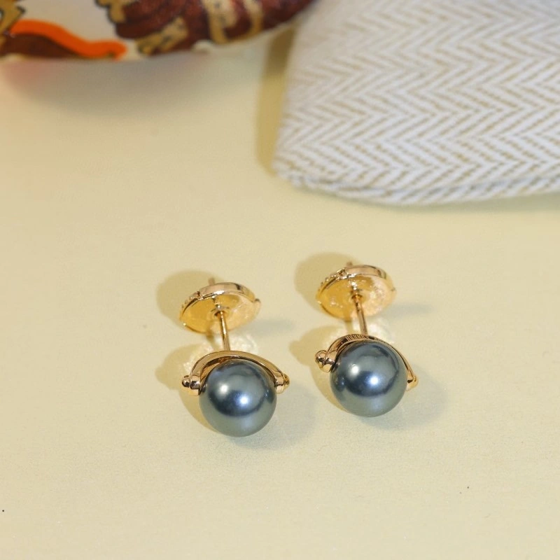 Hermes Earrings Stylish 246814