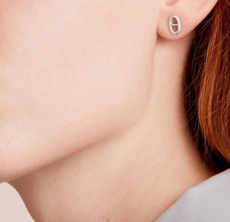 Hermes Earrings Flexible 246800