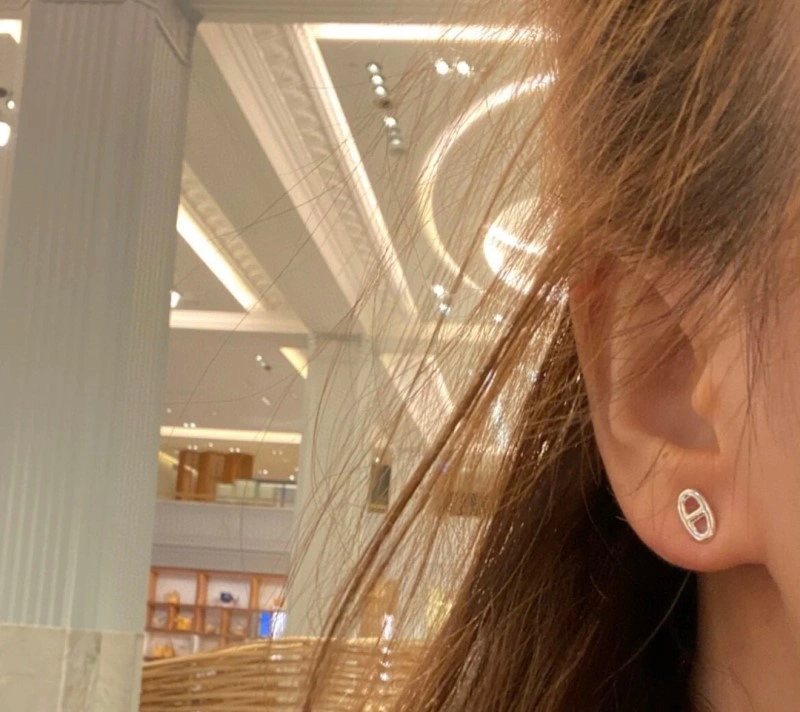 Hermes Earrings Flexible 246800