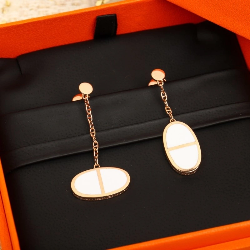 EyeCatching Hermes Earrings 246804