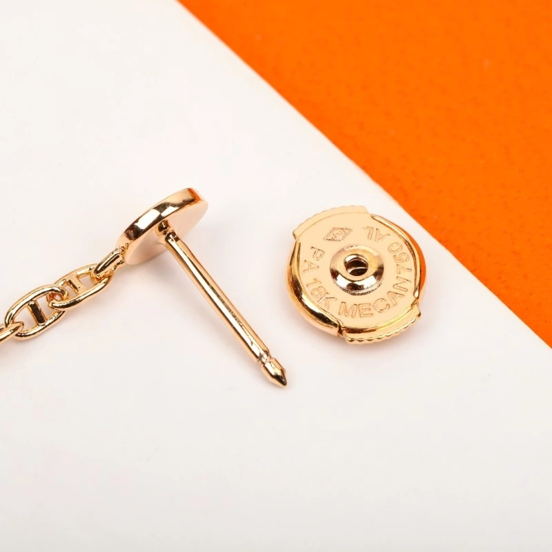 EyeCatching Hermes Earrings 246804
