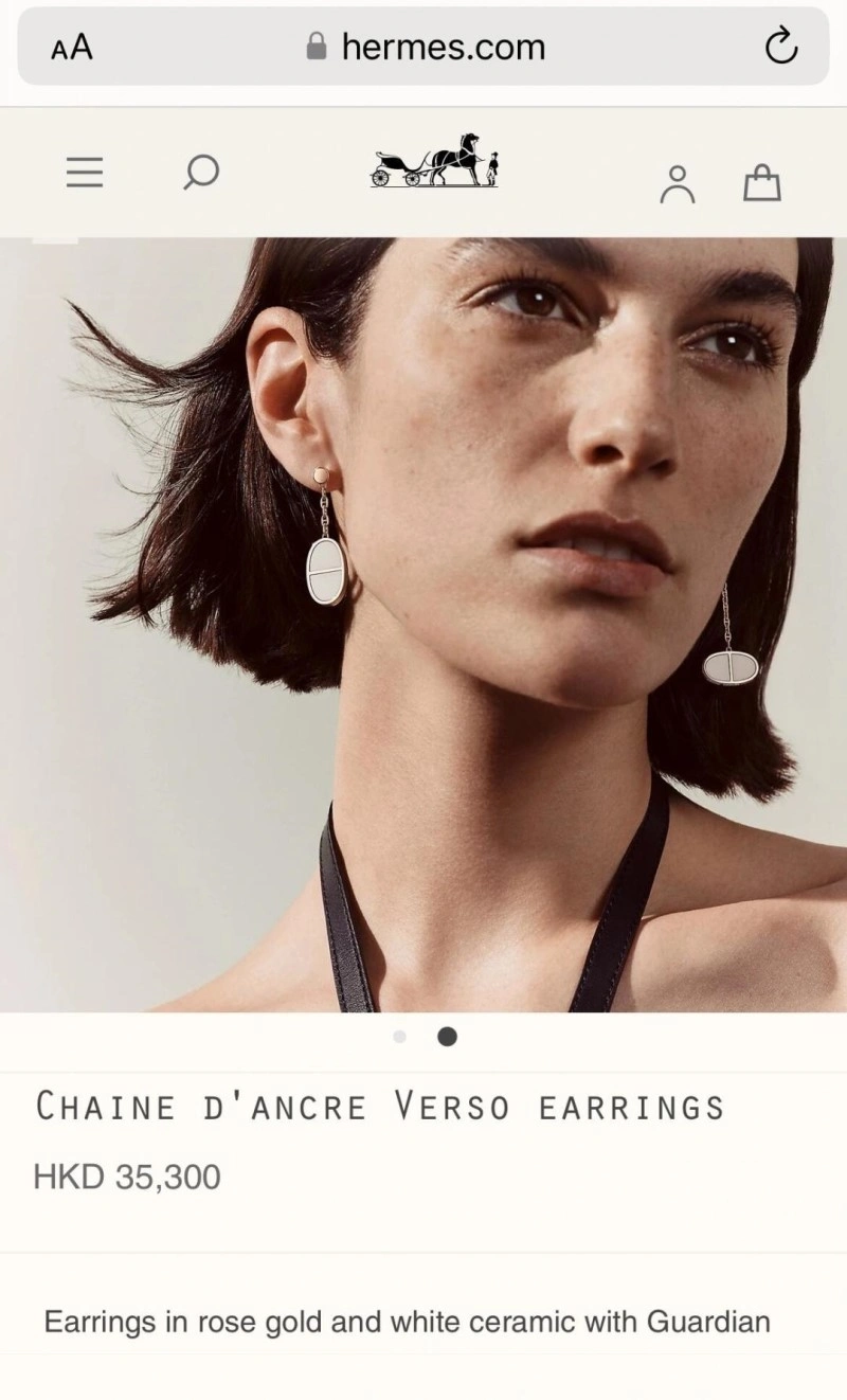 EyeCatching Hermes Earrings 246804