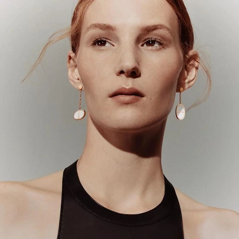 EyeCatching Hermes Earrings 246804