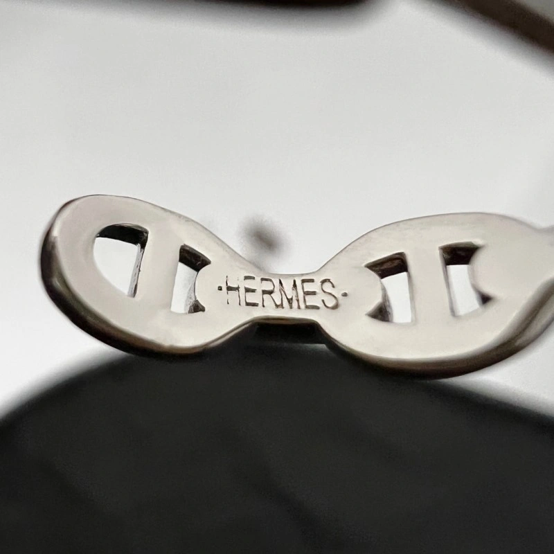 Sporty Hermes Earrings 246794