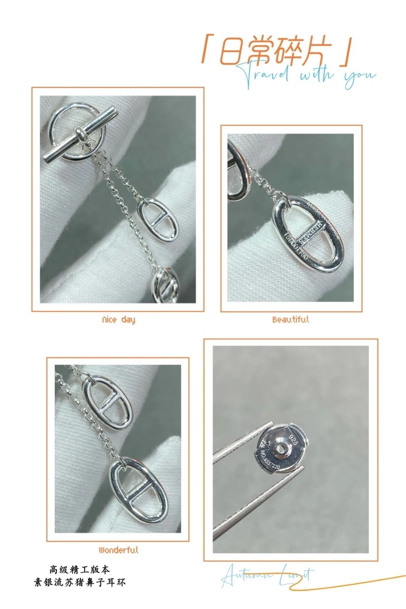 Hermes Earrings FreshLook 246795