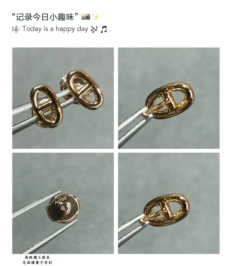 ModernLook Hermes Earrings 246801