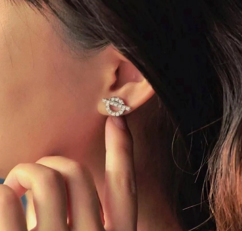 Hermes Earrings Modern 246784