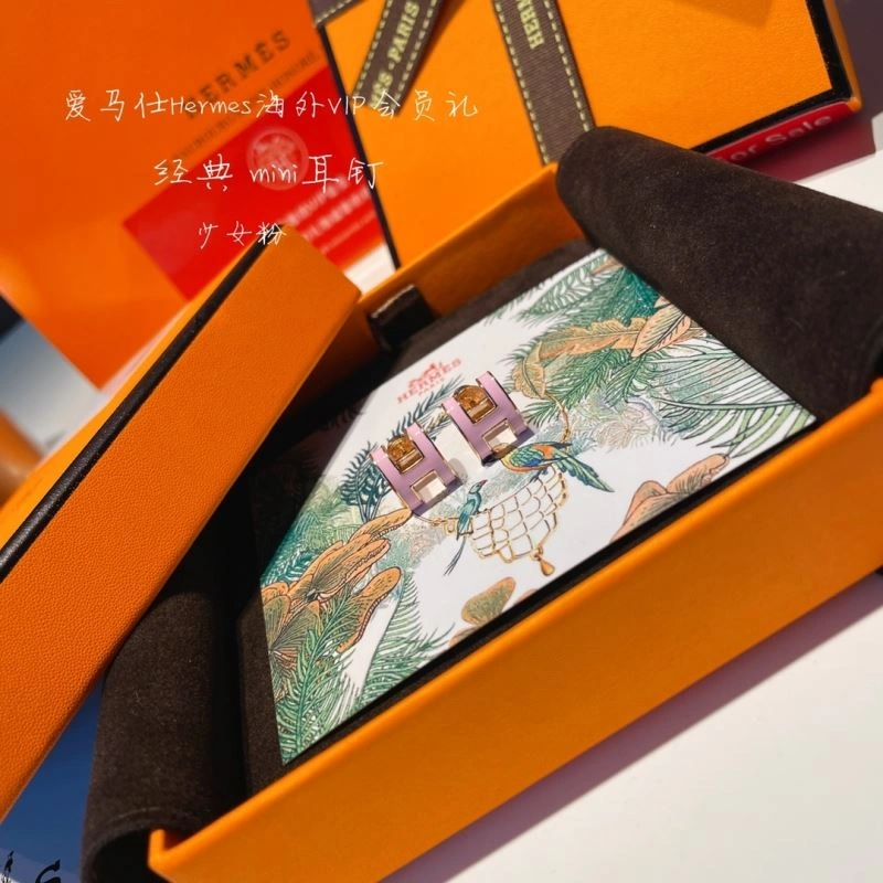 Sporty Hermes Earrings 262769