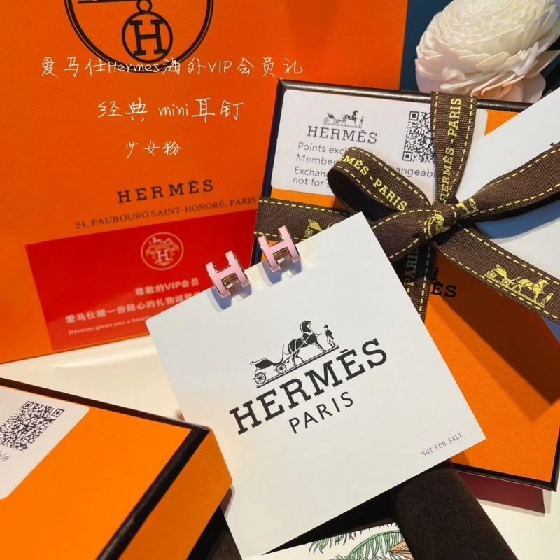 Sporty Hermes Earrings 262769