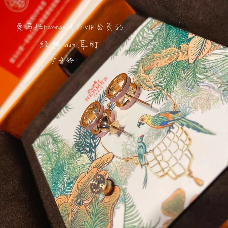 Sporty Hermes Earrings 262769