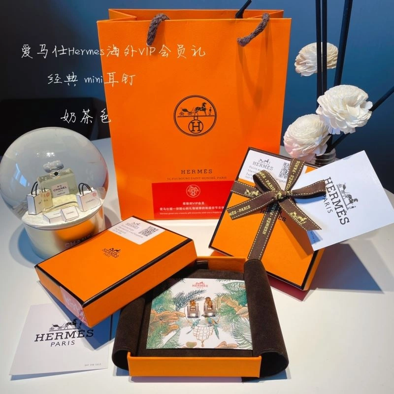 Hermes Earrings OdorResistant 262776