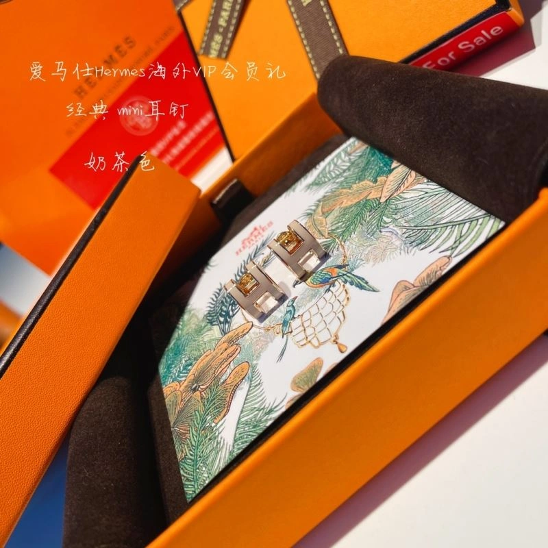 Hermes Earrings OdorResistant 262776