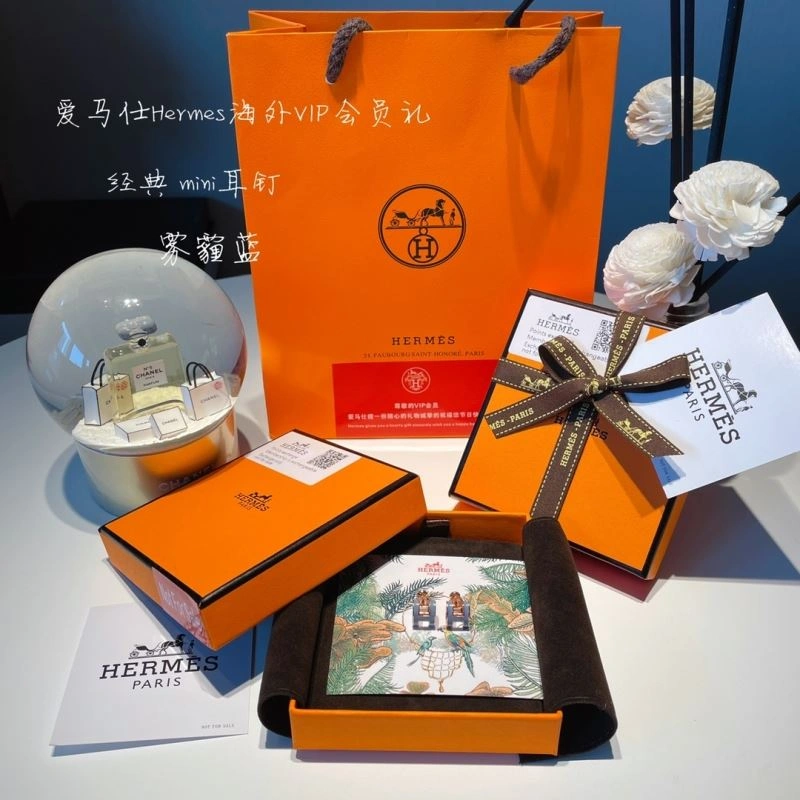 Hermes Earrings EasyCare 262759