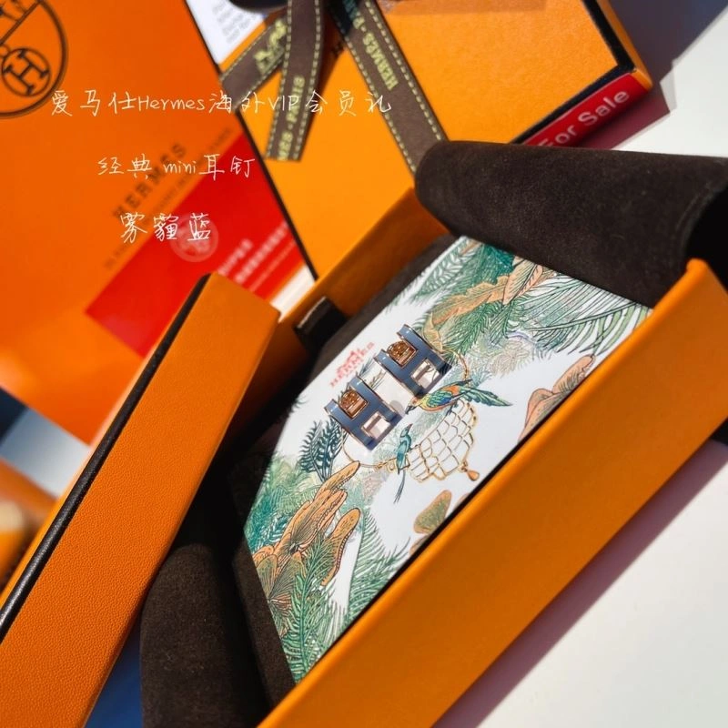 Hermes Earrings EasyCare 262759