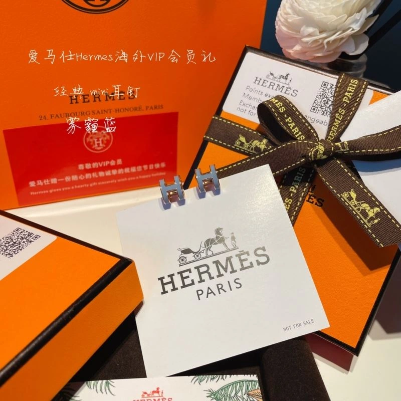 Hermes Earrings EasyCare 262759