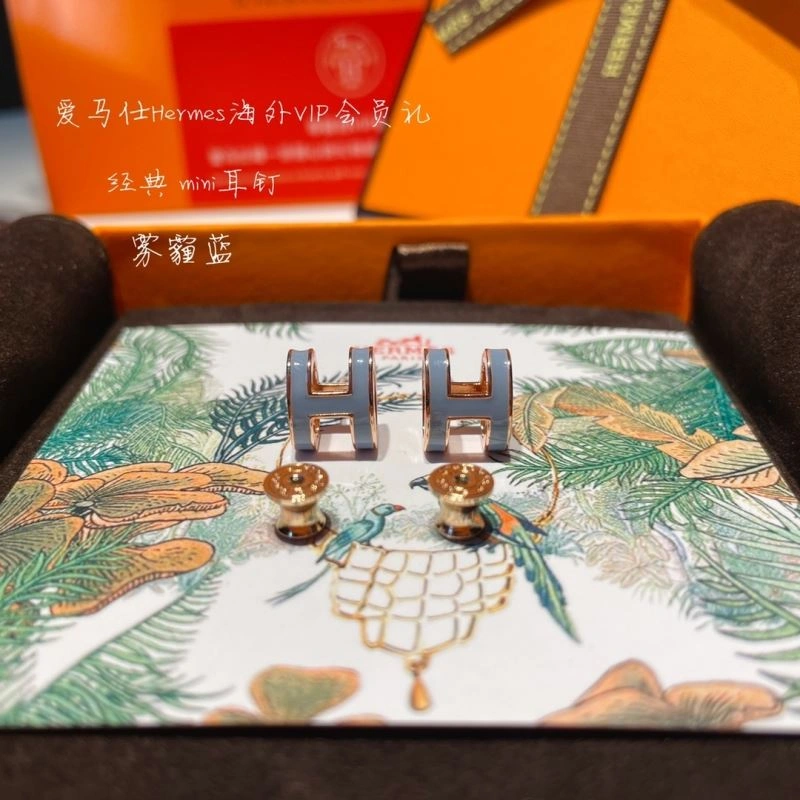 Hermes Earrings EasyCare 262759