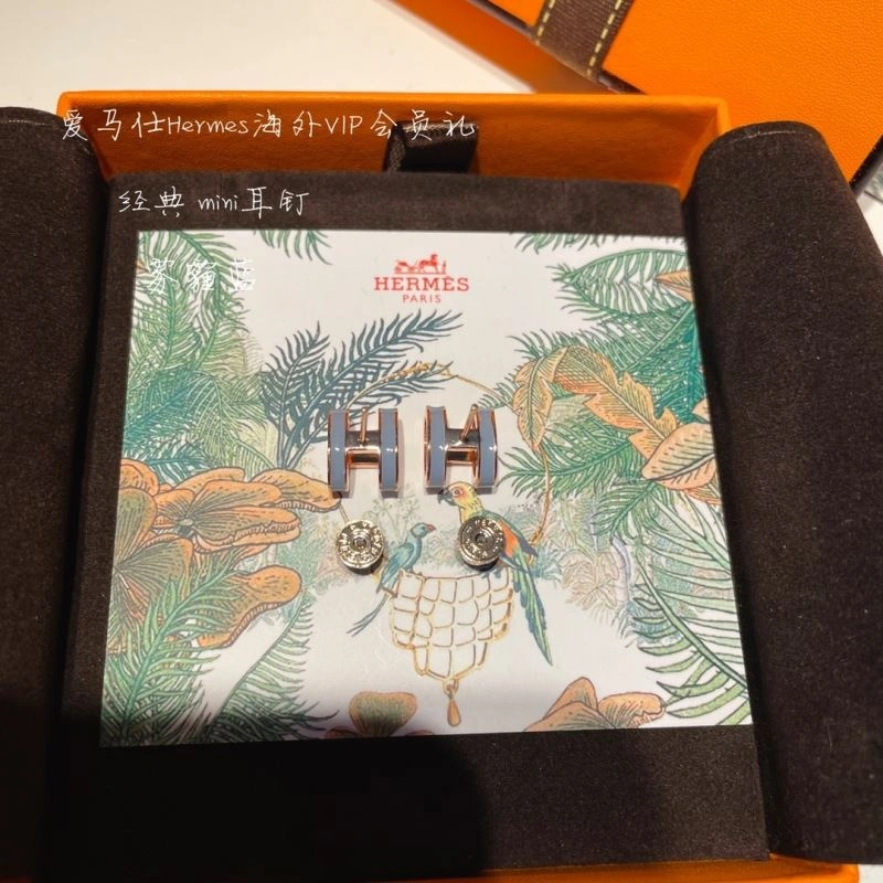 Hermes Earrings EasyCare 262759