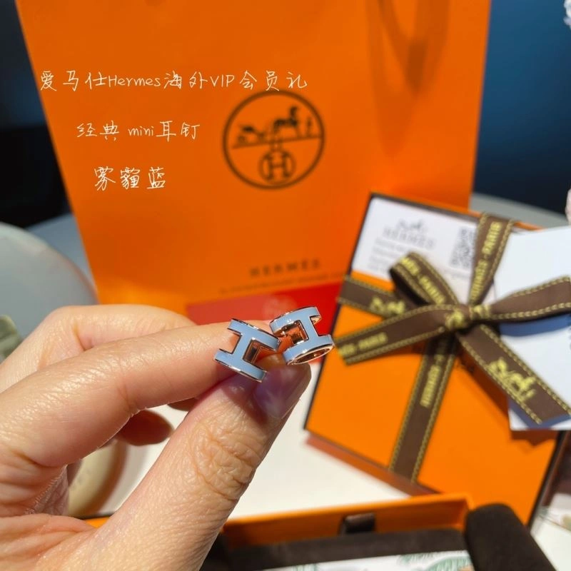 Hermes Earrings EasyCare 262759