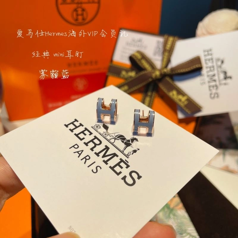 Hermes Earrings EasyCare 262759