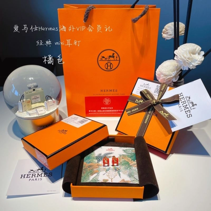 Hermes Earrings Efficient 262760