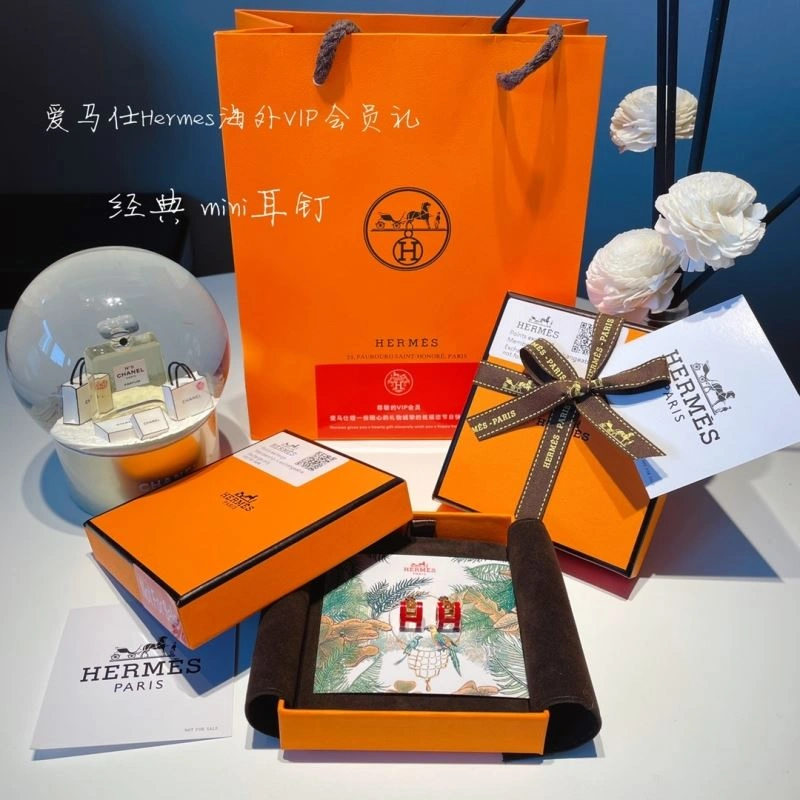 Hermes Earrings Youthful 262761