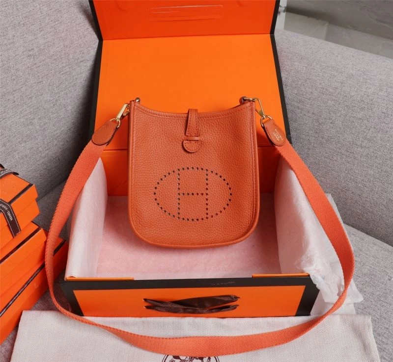 Neat Hermes Evelyn Bags 90161