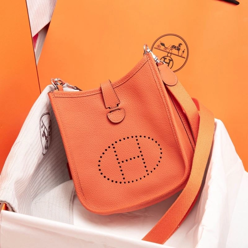 Hermes Evelyn Bags Affordable 89523