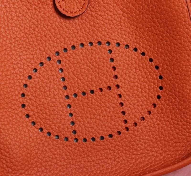 Hermes Evelyn Bags WeatherProof 89517