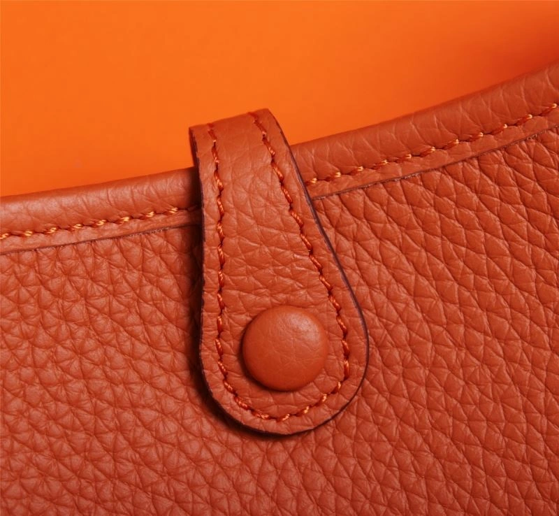 Hermes Evelyn Bags WeatherProof 89517