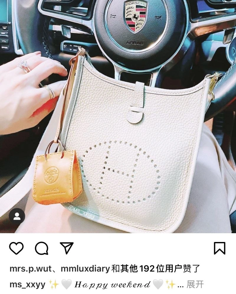 Effortless Hermes Evelyn Bags 64417
