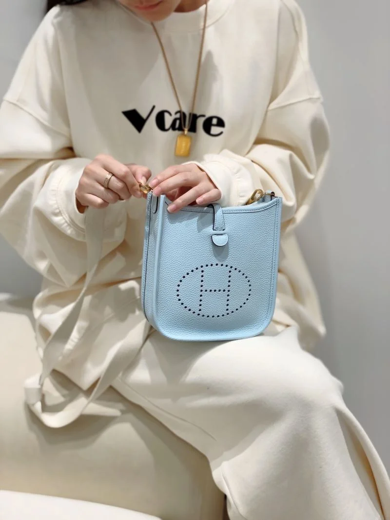 Seasonal Hermes Evelyn Bags 48856