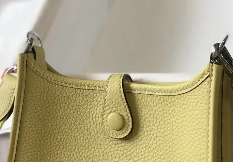 Hermes Evelyn Bags Efficient 48280
