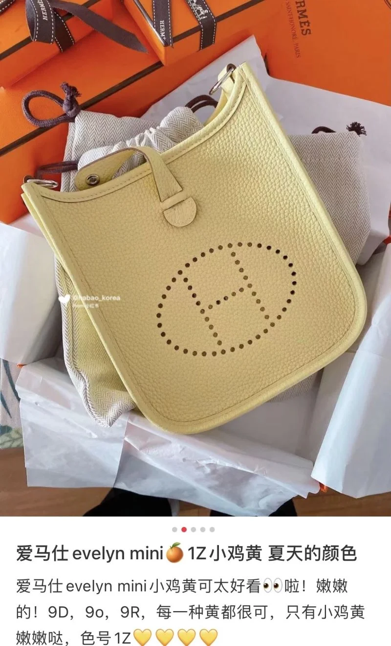 Hermes Evelyn Bags Efficient 48280