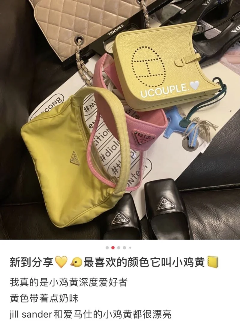 Hermes Evelyn Bags Efficient 48280