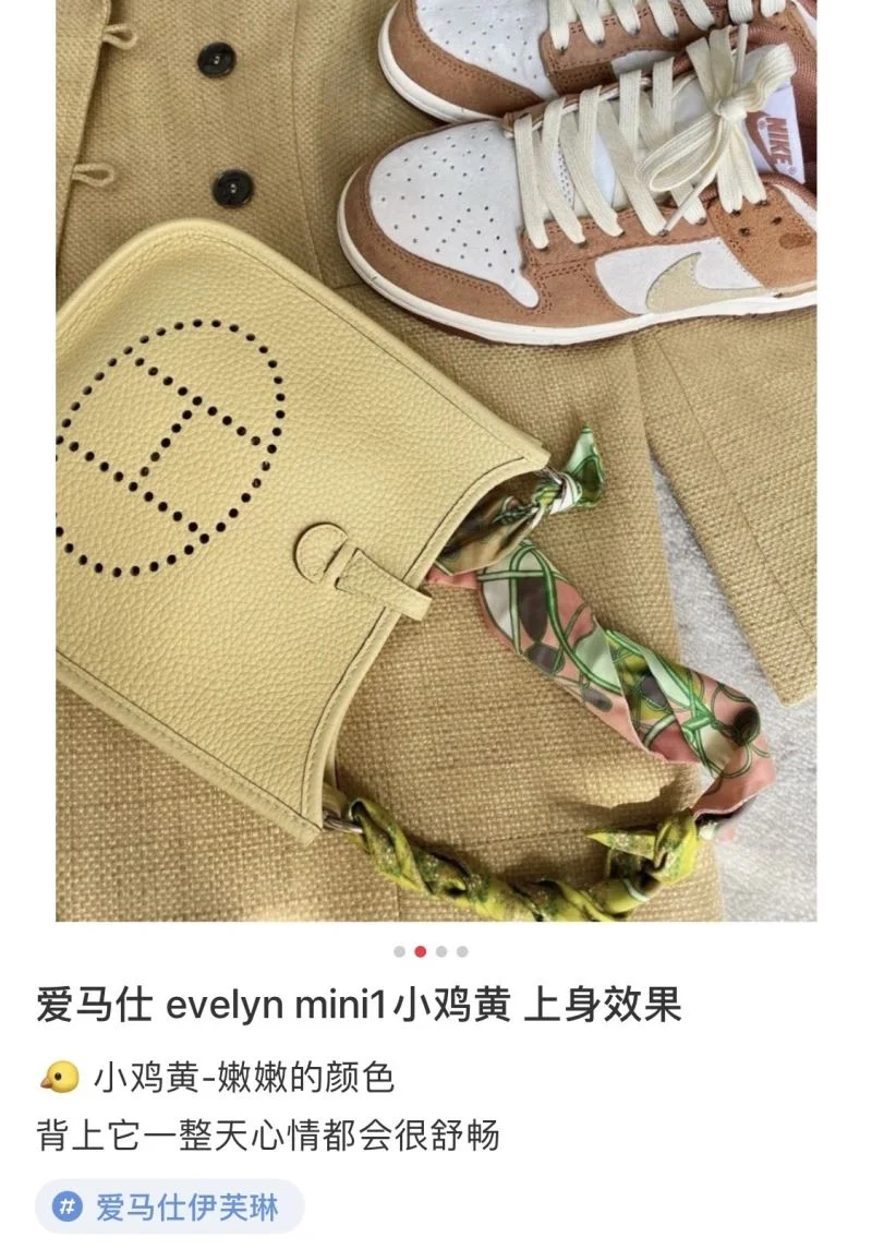 Hermes Evelyn Bags Efficient 48280