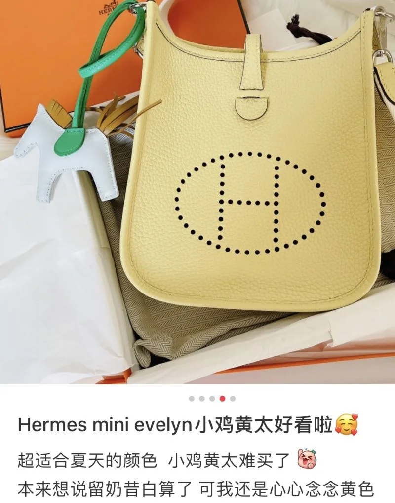 Hermes Evelyn Bags Efficient 48280