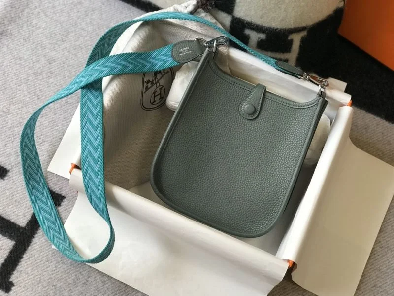 Hermes Evelyn Bags Thermal 48250