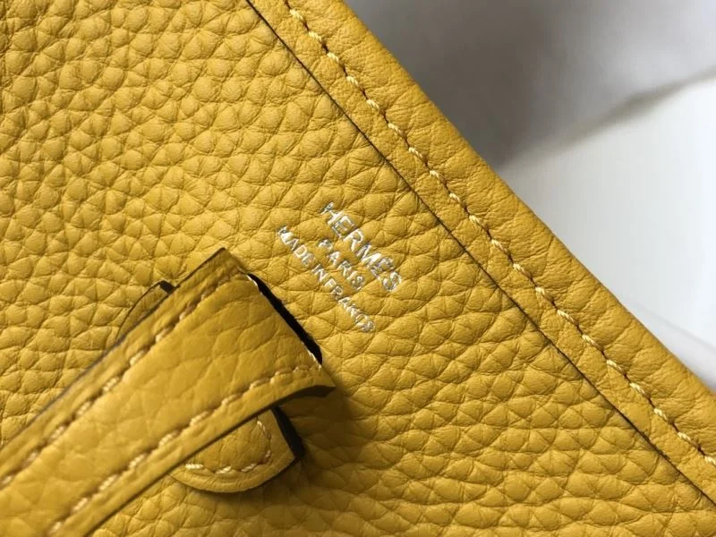 Casual Hermes Evelyn Bags 48259