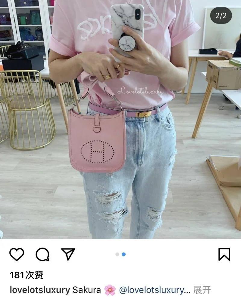Hermes Evelyn Bags Trendy 48263