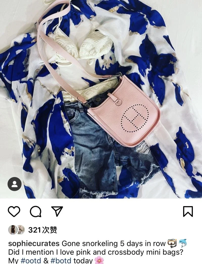 Hermes Evelyn Bags Trendy 48263