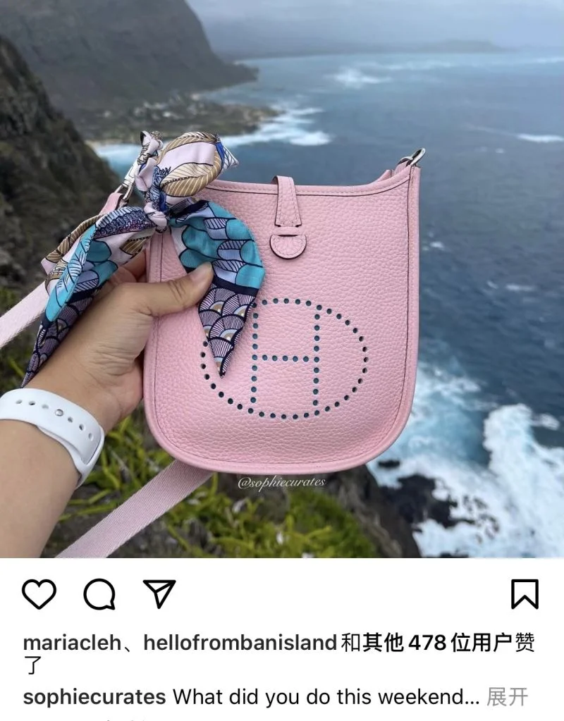 Hermes Evelyn Bags Trendy 48263