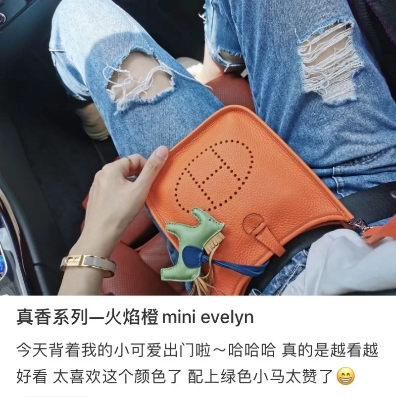 Hermes Evelyn Bags Functional 48256